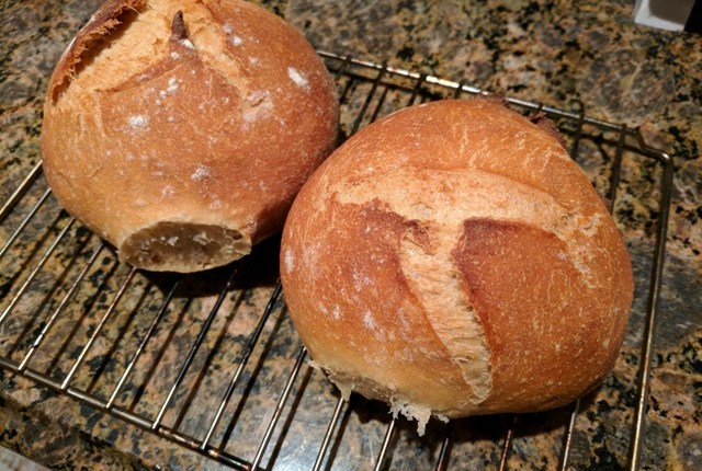 Whole wheat boules