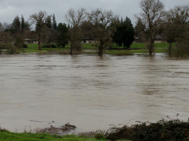 00002img_00002_burst20170112105037_cover