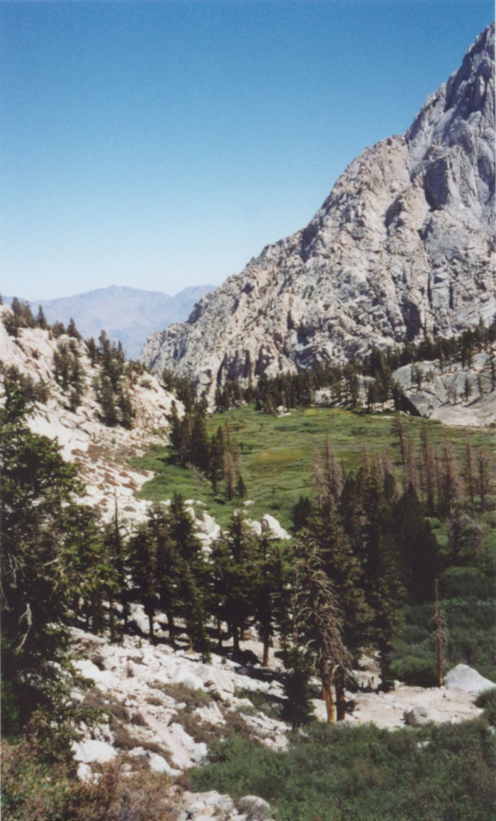 09 Meadow (near outpost camp)