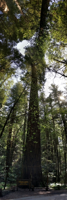 PANO_20180331_112707