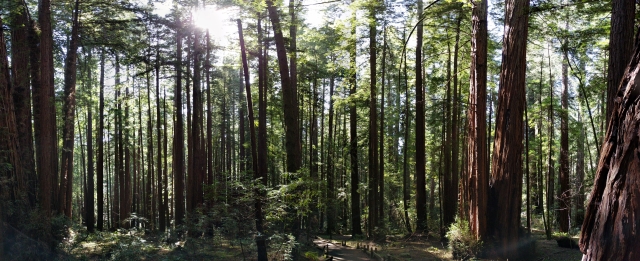 PANO_20180331_113437