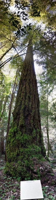 PANO_20180331_120332