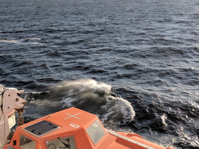 IMG_20180813_194654_1