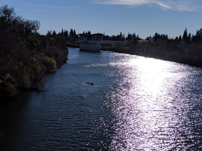 MVIMG_20190101_100310