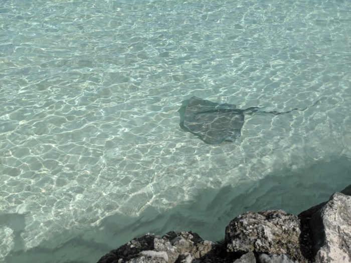 MVIMG_20190521_111946