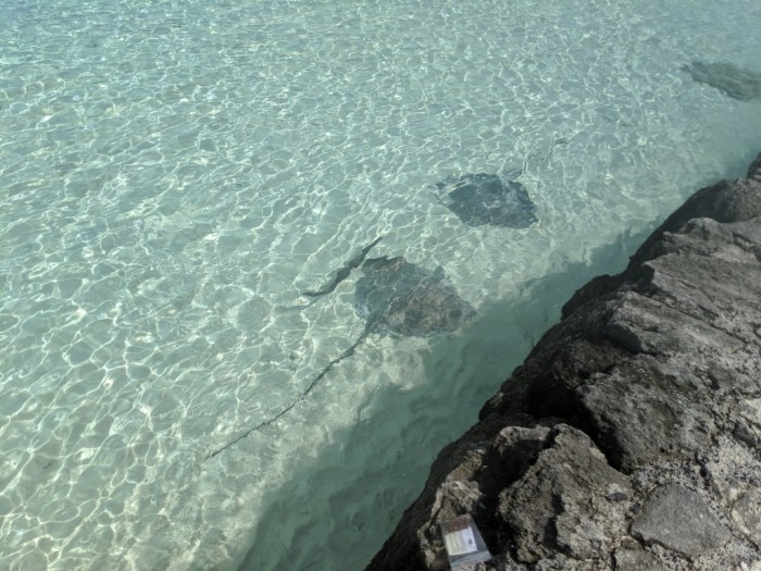 MVIMG_20190521_111956