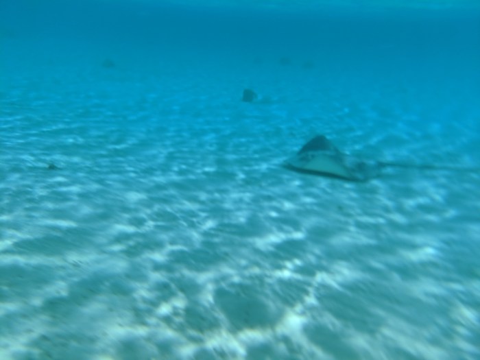 MVIMG_20190521_112434