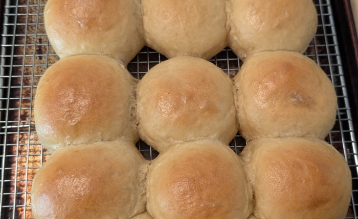 Dinner Rolls